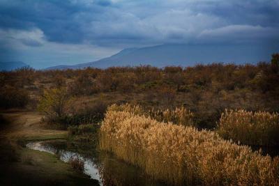 Прикрепленное изображение: bGpM6YykxJE.jpg